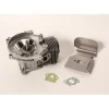 Genuine Echo SB1061 Short Block PE230 GT230 GT231 SRM230 PPT230 PAS230 SRM231 - Explore Premium Parts & Accessories for All Motor Vehicle Models< Echo OEM Parts & Accessories
