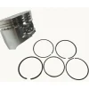 Genuine Generac 10000006816 & 10000006817 Piston & Ring Set GP2200i 7117 - Explore Premium Parts & Accessories for All Motor Vehicle Models< Generac OEM Parts