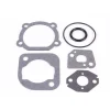 Genuine Poulan 530071253 Gasket Kit Fits BC2400P PL500 PP110 PT7000 XT400 XT600 - Explore Premium Parts & Accessories for All Motor Vehicle Models< Husqvarna Parts Genuine OEM