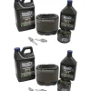 Best Sale 2 Pack Stens 785-527 Engine Maintenance Kit Fits B&S 5134B - Explore Premium Parts & Accessories for All Motor Vehicle Models Stens Parts & Accessories