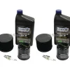 Store 2 Pack Stens 785-640 Engine Maintenance Kit Fits Kawasaki 99969-6150B - Explore Premium Parts & Accessories for All Motor Vehicle Models Stens Parts & Accessories