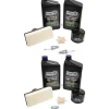 Discount 2 Pack Stens 785-682 Engine Maintenance Kit Contains 20W-50 Engine Oil - Explore Premium Parts & Accessories for All Motor Vehicle Models Stens Parts & Accessories