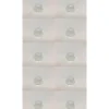 Echo OEM Parts & Accessories|10 PK Genuine Echo P005003110 Fuel Primer Purge Bulb Fits Shindaiwa OEM - Explore Premium Parts & Accessories for All Motor Vehicle Models