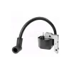 Rotary Parts & Accessories|Rotary 9720 Ignition Module Coil For Homelite - Explore Premium Parts & Accessories for All Motor Vehicle Models