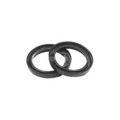 Rotary Parts & Accessories|Rotary 8825 Oil Seal For B&S - Explore Premium Parts & Accessories for All Motor Vehicle Models